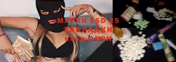 эйфоретик Ладушкин