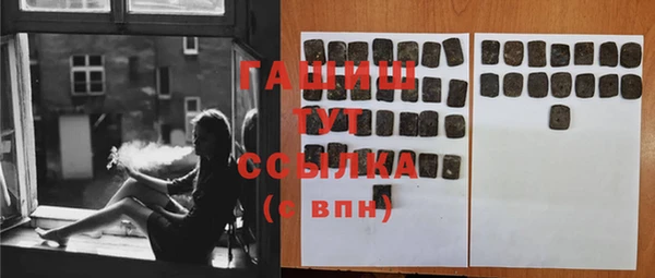 дмт Лабытнанги