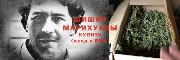 дмт Лабытнанги